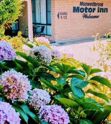 Muswellbrook Motor Inn