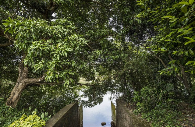 Nadhiyoram River Retreat by Maat Hotels