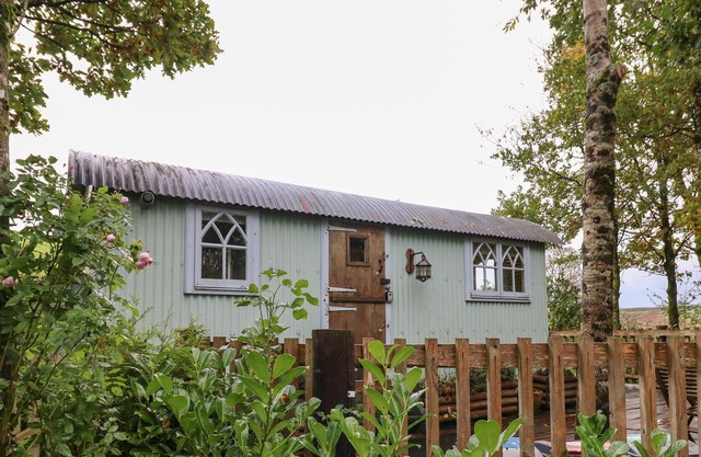 NADINE, pet friendly, with open fire in Beguildy