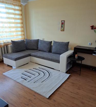 Nakvynė ir poilsis Zarasų mieste visai šeimai