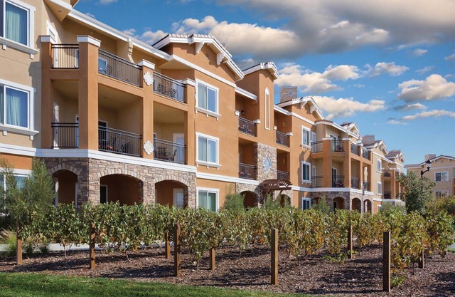 Napa Valley Resort Studio for the Gipsy Kings in August!