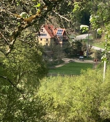Natur Idylle mit Tieren in der Dachsmühle zwischen Bodensee und Schwarzwald