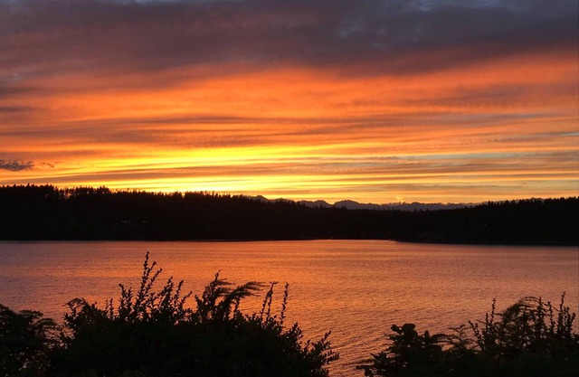Nature Awaits on Harstine Island!