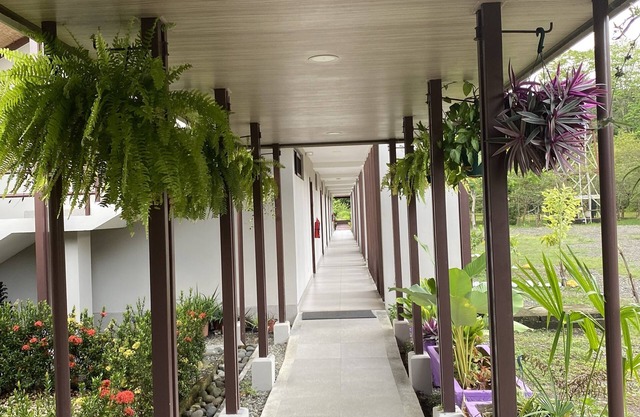 Nature rich home environment, minutes away from all state parks and beach towns.