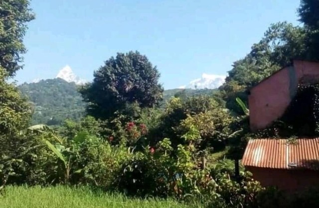 Nature Side Cottage