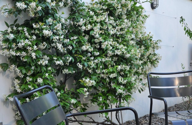 NAVIGLI LOFT with private GARDEN