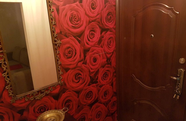 NEW and fully LUX apartment SLAVIJA