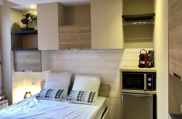 NEW IN MONTLUCON! Luxury furnished room in a small residence