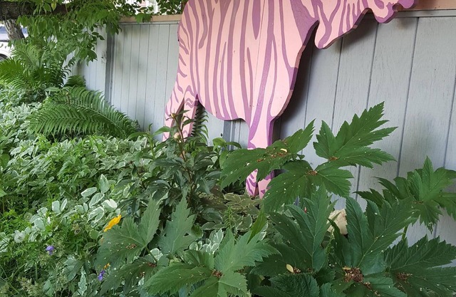 NEW LISTING -Lovely Hideaway; King Bed; Private Entrance