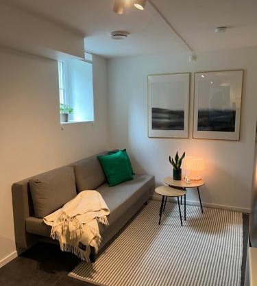 Newly renovated apartment close to city center
