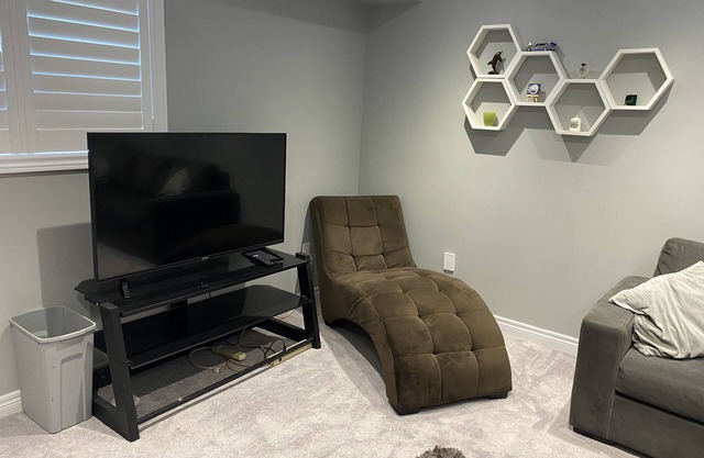 Newly renovated Basement Apartment (For One Guest only)
