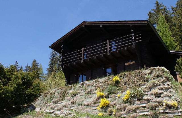 Nice little chalet ideal for a family, garden, calm, rest, lake view