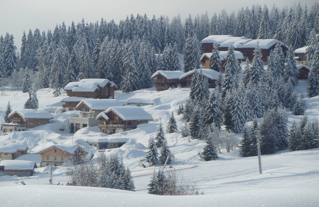 Nice Studio on the family resort of SAISIES