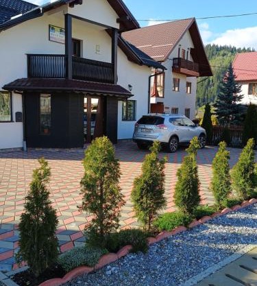 NICO-ȘTEF