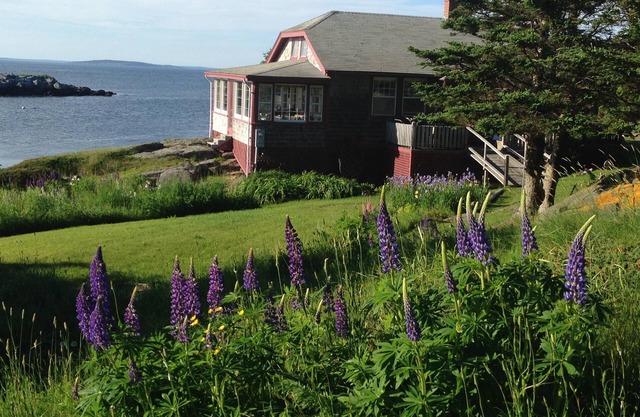 Nigh Duck Cottage on the water offers a blissful retreat