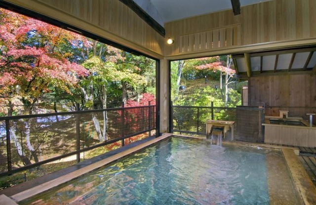 Nikko Hoshinoyado