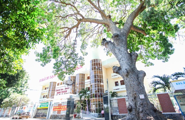 Ninh Thuan Hotel