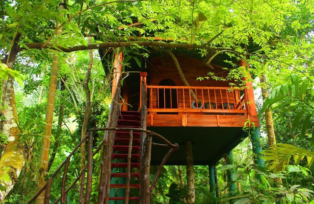 Nisala Villa - MIDIGAMA