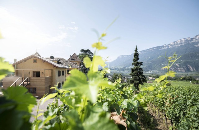 Noble loft in the vineyards