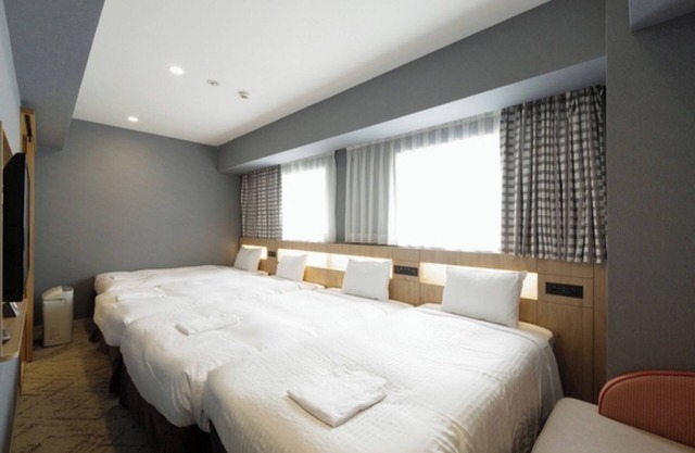 Nonsmoking Deluxe Twin Room only Standard p/Fujisawa Kanagawa