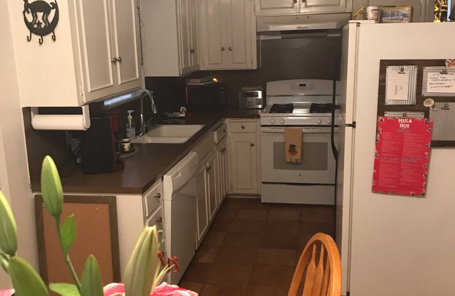 North Central Austin- three bedrooms, one bath