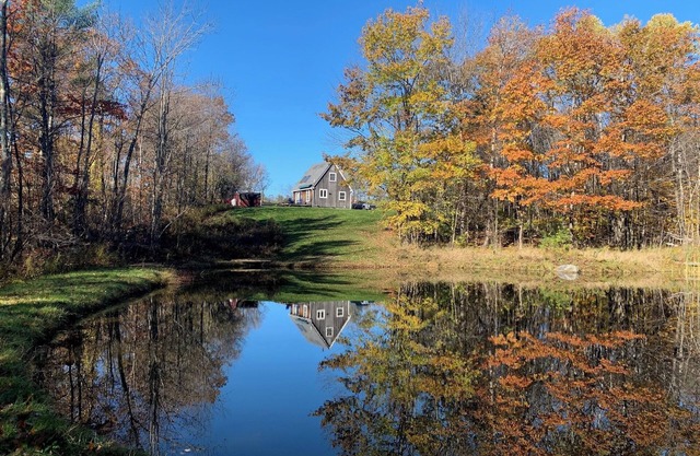 Not-so-tiny, Tranquil, Pond Front Bungalow