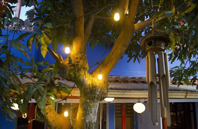 Oasis in the City Apartment C