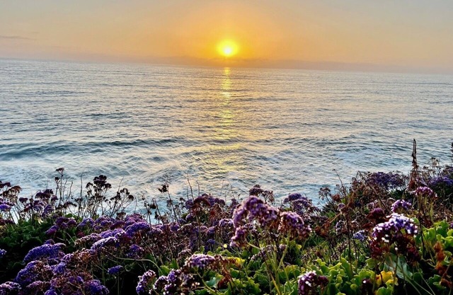 Ocean and Sunset Paradise in Ocean Beach