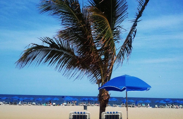 Ocean Place Resort And Spa