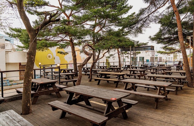 Ocean to you Resort Sokcho Seorak Beach Hotel and condo