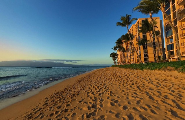 Oceanfront 1BR w/Floor to Ceiling Windows, Lanai, Free WiFi & Free Parking