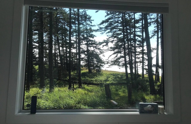 Oceanfront, newly built, modern tiny home with beach access!