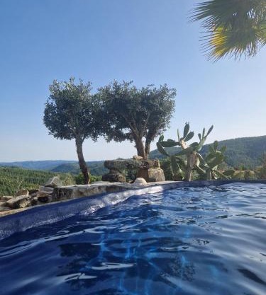 Ola Bella Vista
