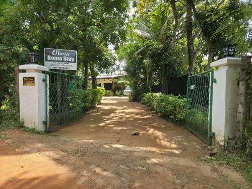 Olivia HomeStay