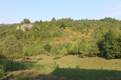Olovo Dana