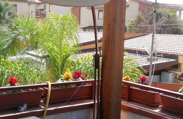 Olympus B&B