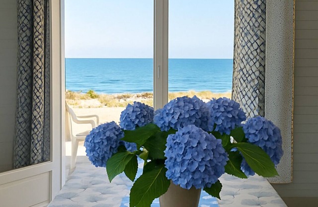 On the beach, facing the sea, exceptional view of the sea and forest for 8 people