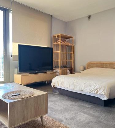 One Bedroom Apartment Centre Lyon