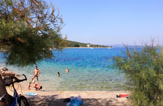 One bedroom apartment with terrace and sea view Zaglav, Dugi otok (A-393-a)