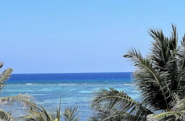 One Bedroom Beachfront Penthouse Condo Sleeps 4