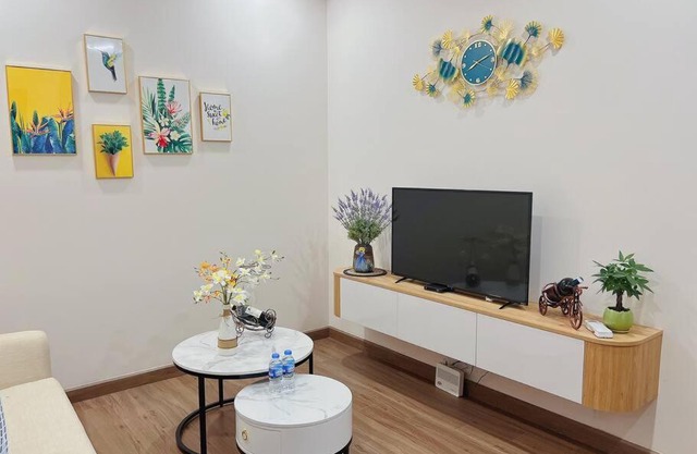 ONE BEDROOOM APARTMENT ECOPARK View XUAN QUAN Village