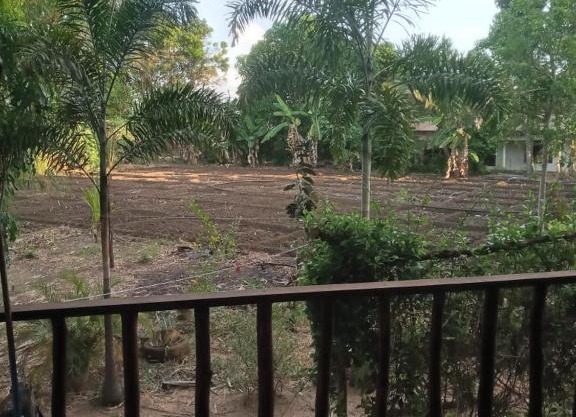 One More Night Homestay