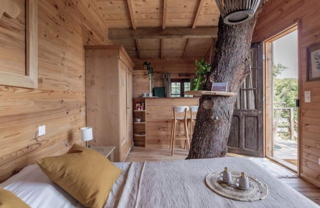 Our Cabane Perchée in the heart of the vineyards