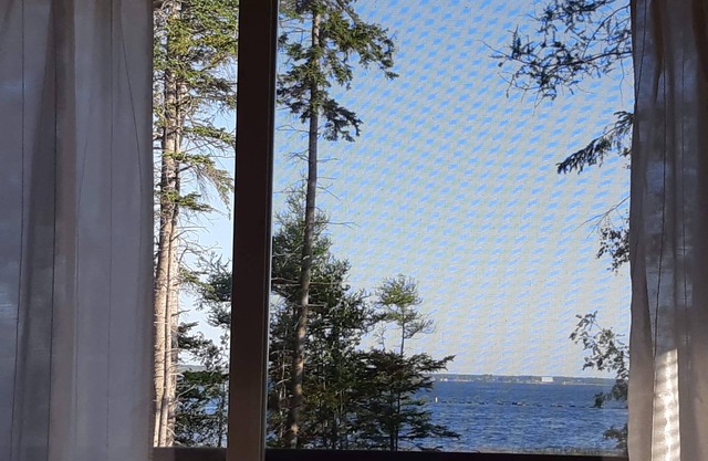 Oyster Blue Bay!