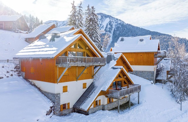 Oz/Alpe dHuez 230m slopes, up to 25 pers, Jacuzzi, rooms with bathroom