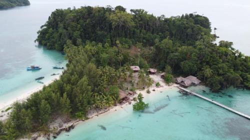 Panun Paradise Misool