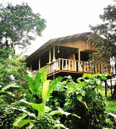 Papaya Lodge