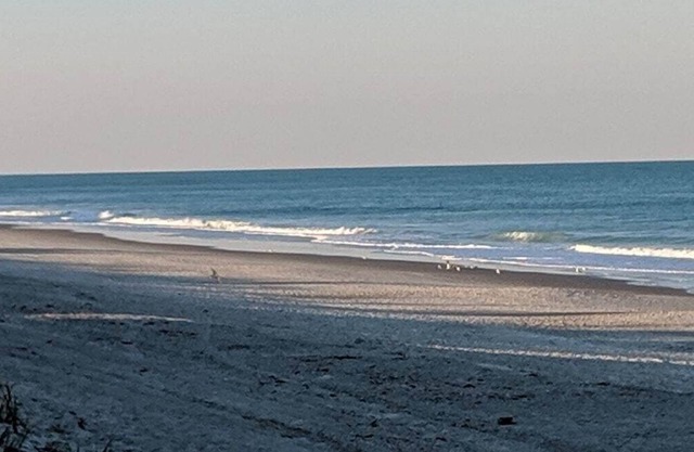 Paradise Beach West - Indialantic