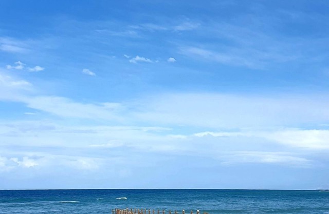 PARADISE IS HERE: sea, sun, nature, food, relax & ART