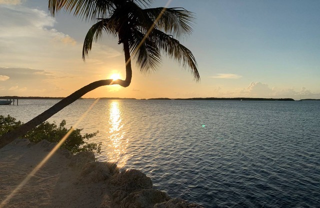 Paradise Vacation For Rent
